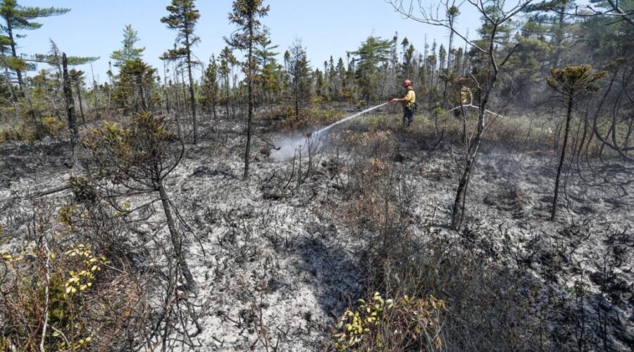 Highway 103 set to re-open, schools closed in Shelburne