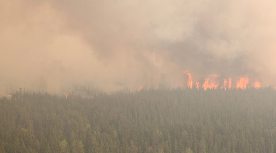 Smoky Air Could Become Routine Threat