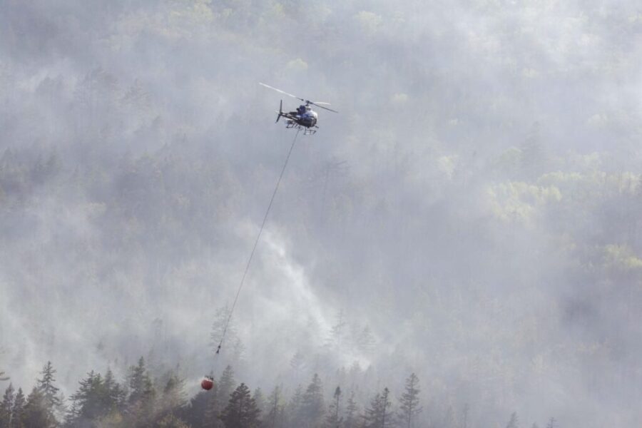 Feds bracing for ‘severe’ wildfire season this summer