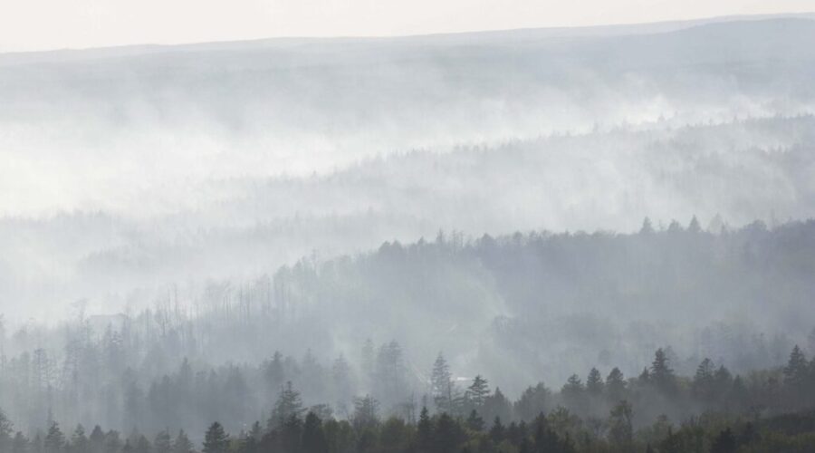 Wildfire Relief Program for small businesses expands eligibility