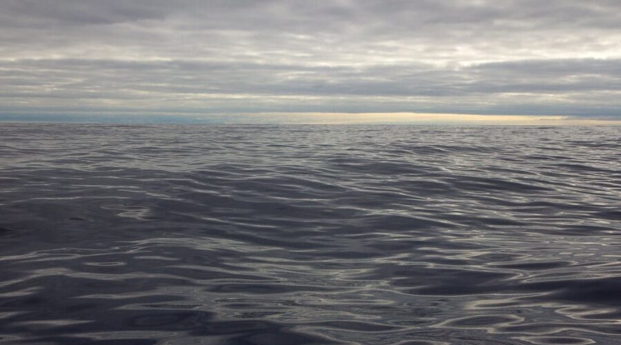 El Niño is back: WMO says it’s expected to break global temperature records