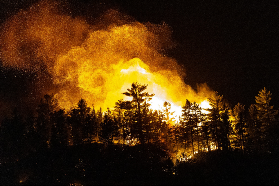 Record forest fire season expected to worsen