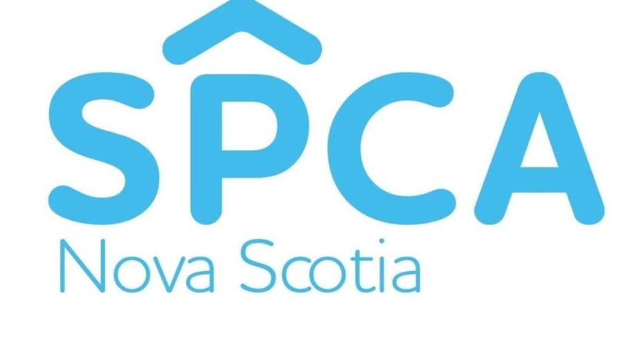 Nova Scotia woman sentenced after 5 animals found in distress