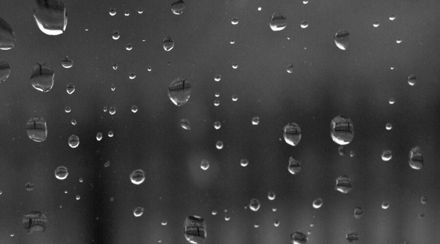 Another Week, Another Big Rain