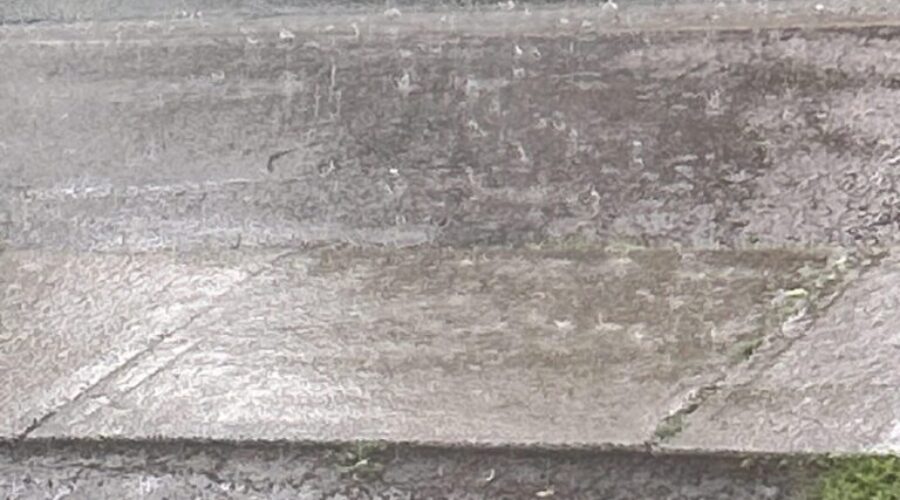 Special weather statement issued as more rain on the way