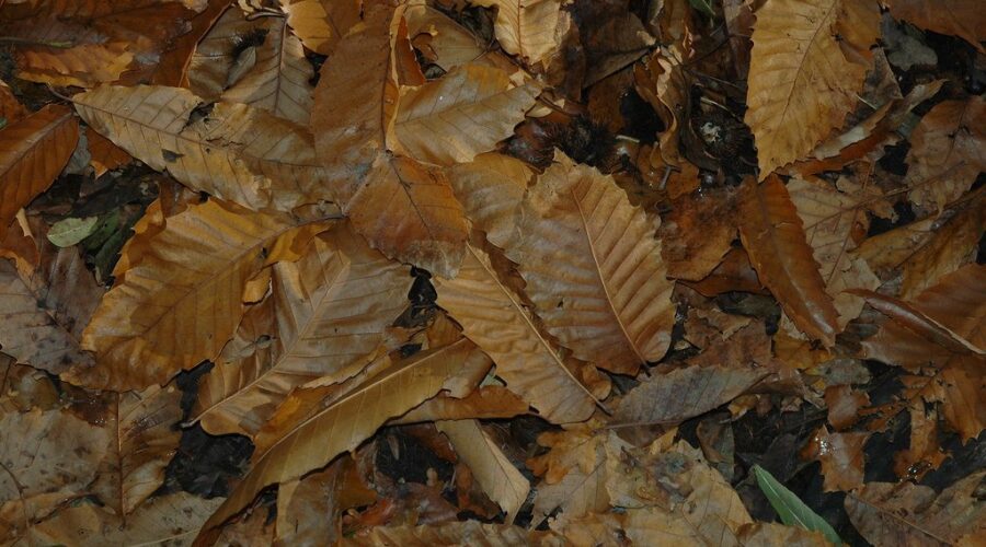 Registration for fall programs opens this morning