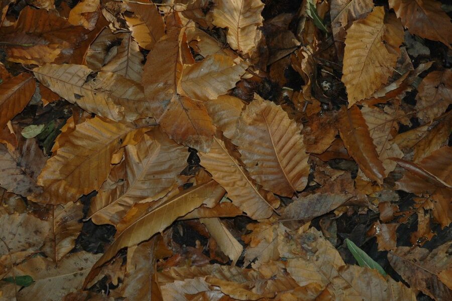 Registration for fall programs opens this morning