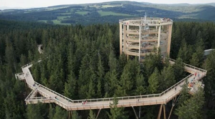 Victoria County officials take trip to explore potential tree walk designs