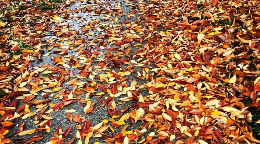 Tropical Storm Phillipe bringing wet and windy Thanksgiving weather