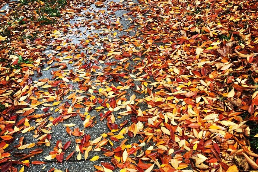 Tropical Storm Phillipe bringing wet and windy Thanksgiving weather