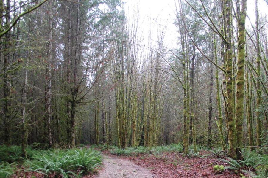 $5 million from province to repair trails after summer floods