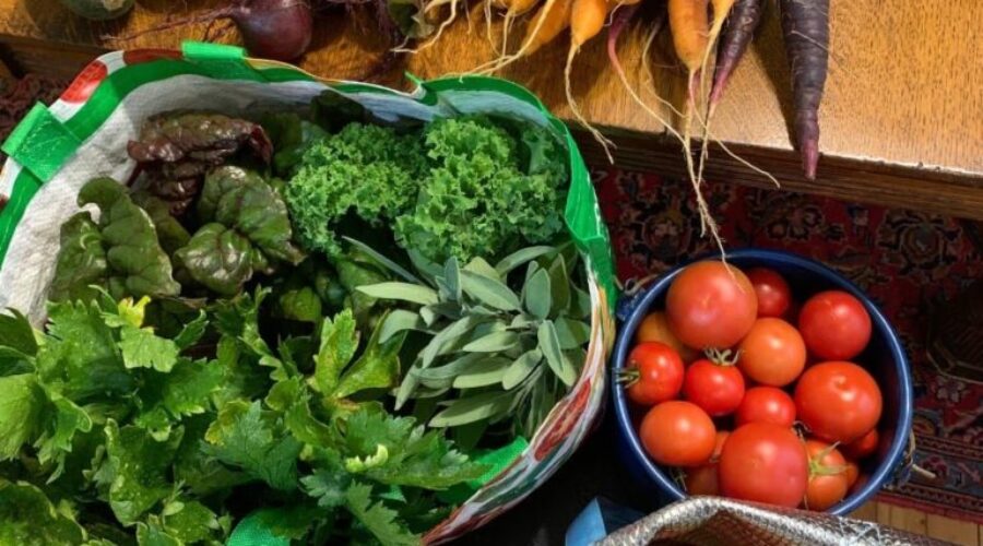 NDP want every school in N.S. to offer students a healthy meal by 2024