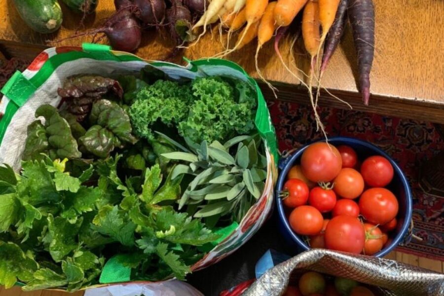 NDP want every school in N.S. to offer students a healthy meal by 2024