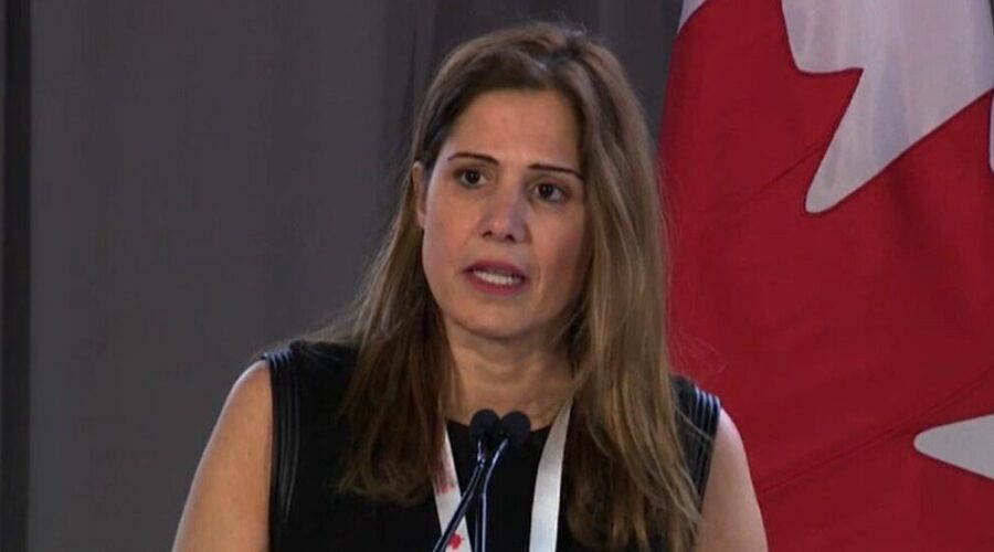 Quebec tuition hike ‘Doesn’t make any sense’