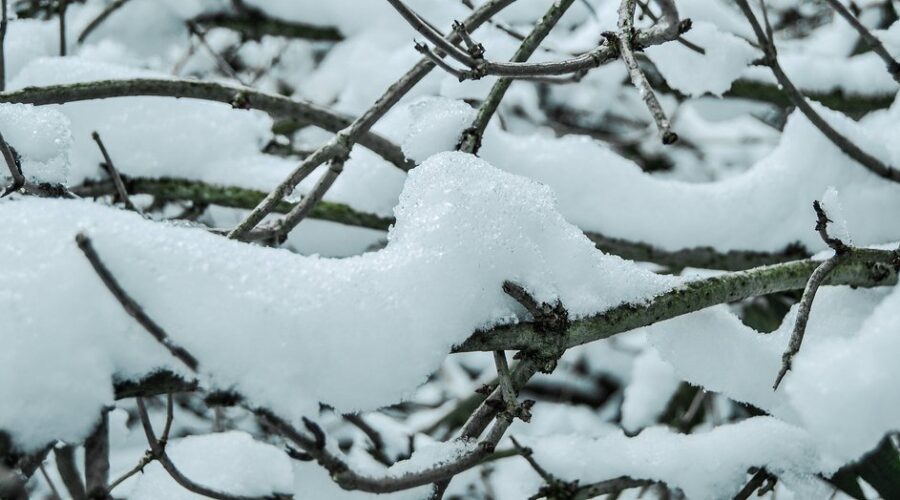 Snow Squall Watch in effect for Antigonish, Guysborough, Inverness counties