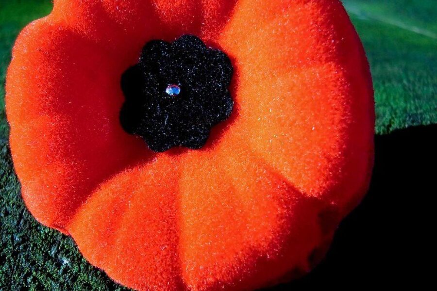 Survey finds more Remembrance Day education needed for youth