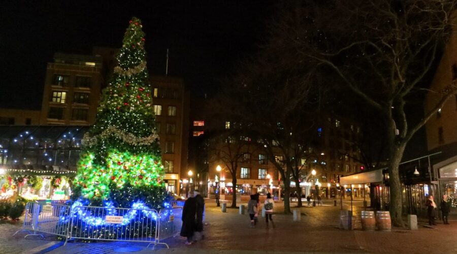 Christmas Tree for Boston coming from Stewiacke