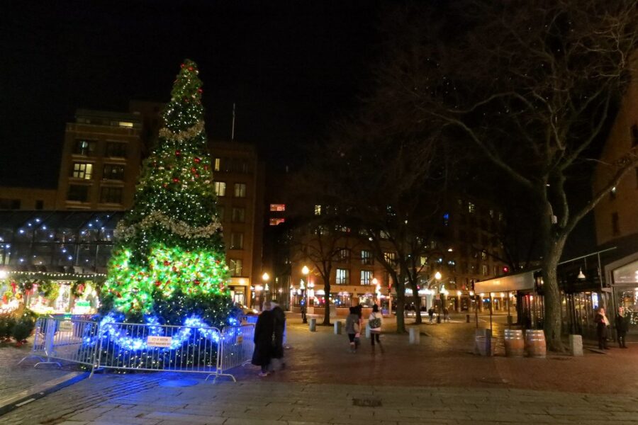 Christmas Tree for Boston coming from Stewiacke