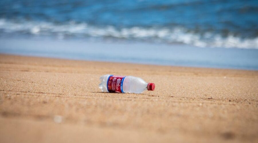 Federal judge rules listing plastic items as toxic as ‘unconstitutional’