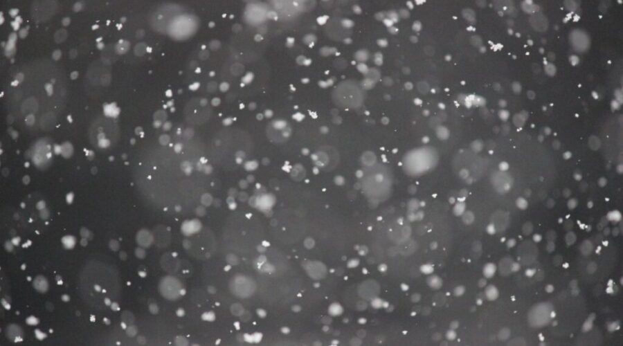 Snow squall watch in effect for Pictou and Antigonish Counties