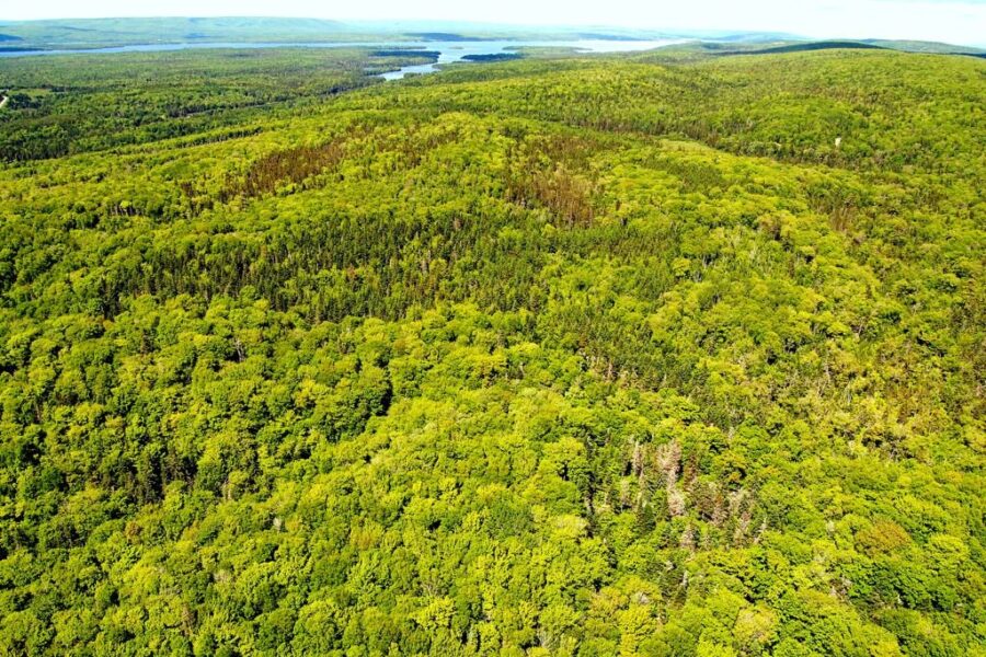 Cains Mountain Nature Reserve expands