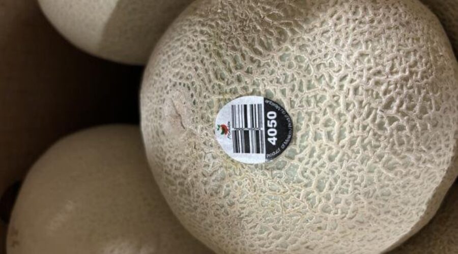 Cantaloupe recall