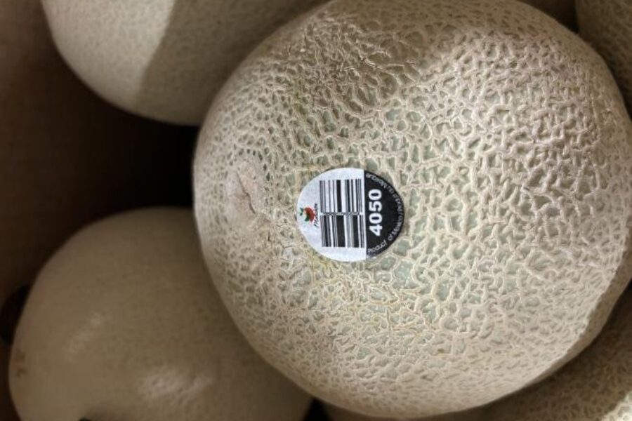 Cantaloupe recall