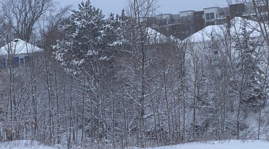 Snow squall watch in effect, could bring up to 10cm