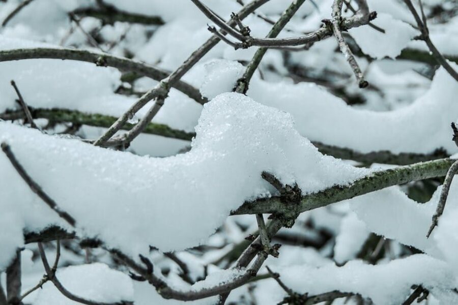 Heavy rain to continue before snow hits Thursday night