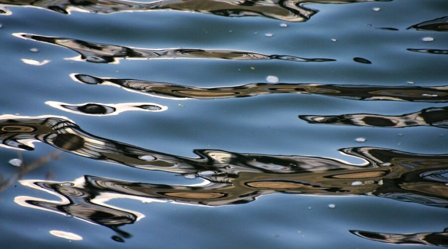 Interactive environmental education for Inverness County