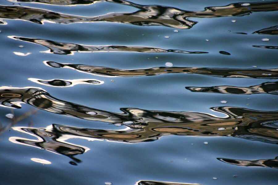 Interactive environmental education for Inverness County