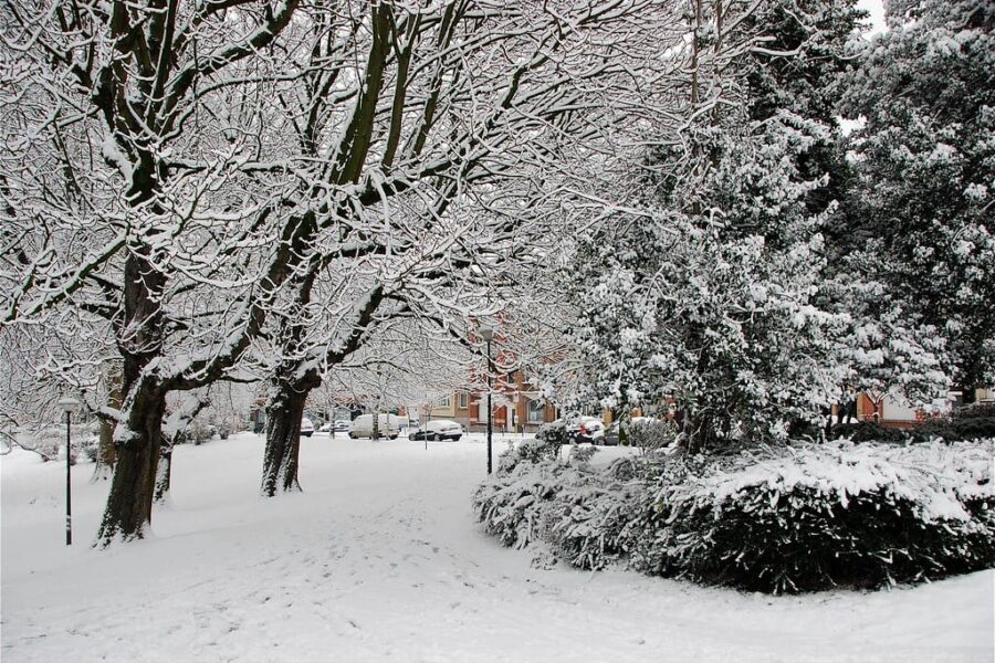 Snow storm cancels schools in N.S.
