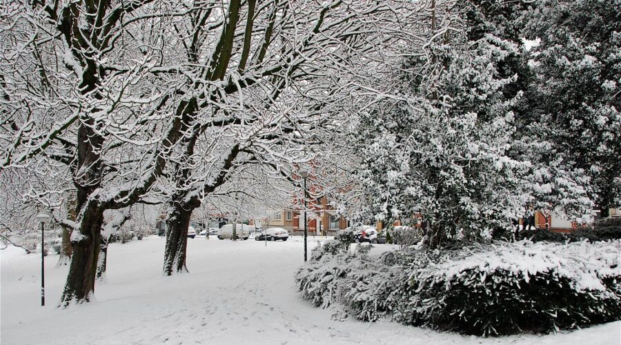 Southern NS to receive up to 20 centimetres of snow on Sunday