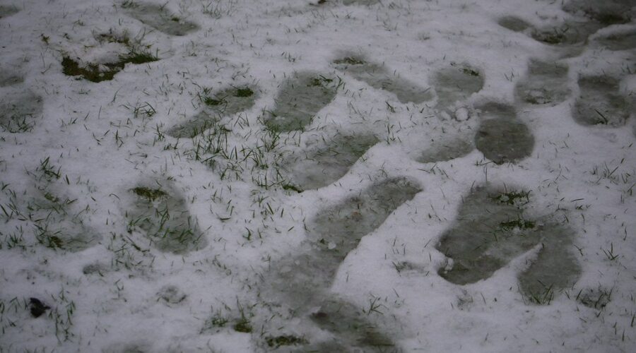 Parts of N.S. digging out after first snow of 2024 and storm coming Wednesday