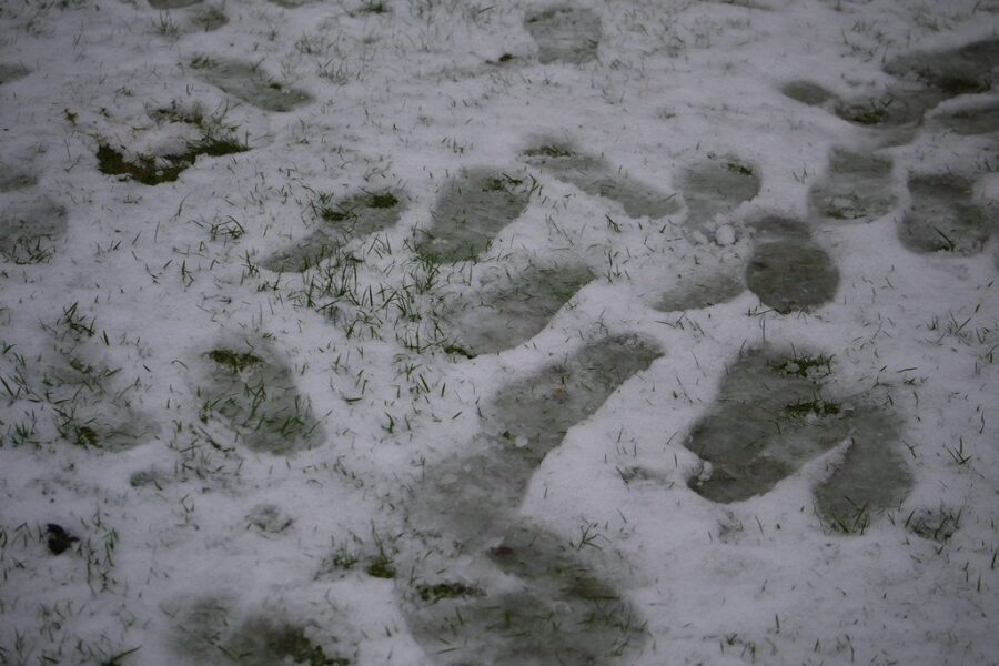Parts of N.S. digging out after first snow of 2024 and storm coming Wednesday