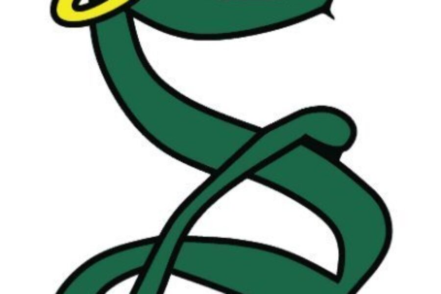 SAERC announces female hockey team