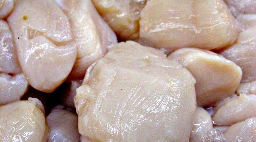 N.S. companies control all of national scallop quota after recent sale