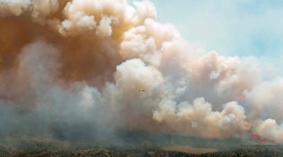 Man charged in Barrington Lake wildfire back in court on March 20