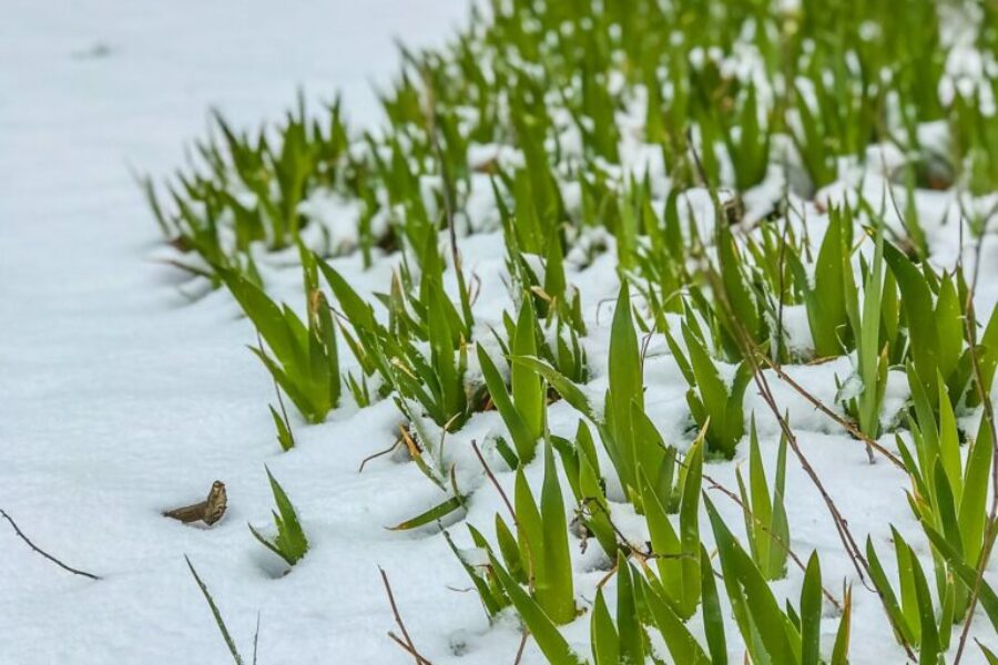Nova Scotia braces for early spring snowstorm