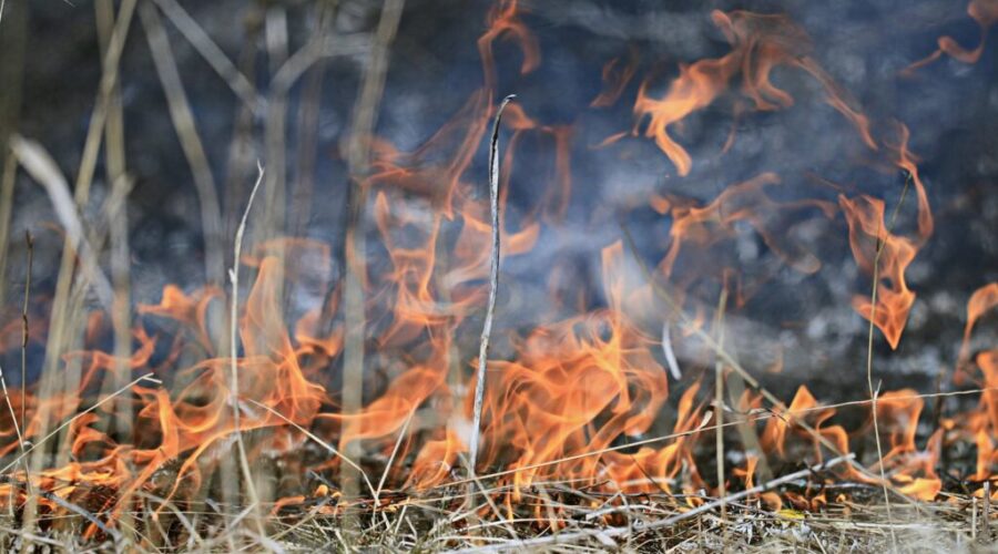 Burn ban in effect for most of N.S.