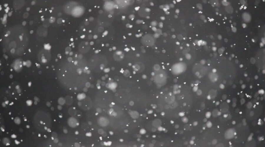 Slushy and windy conditions for N.S.