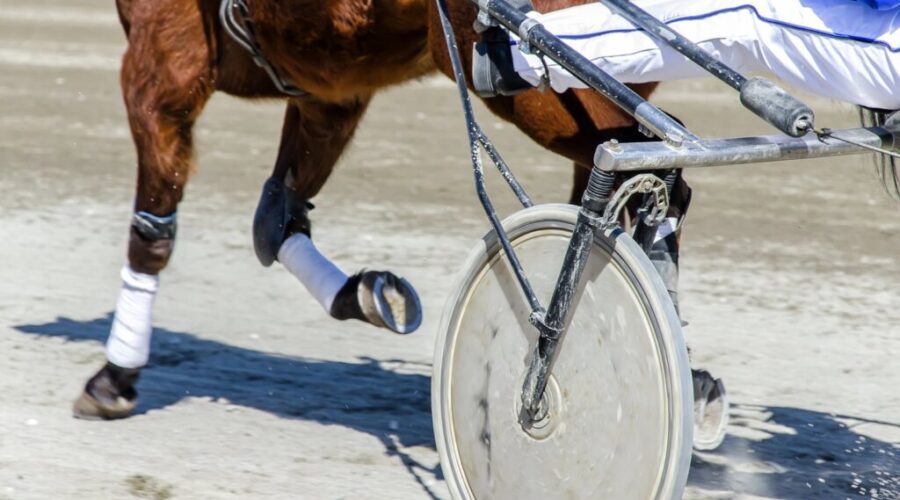 Inverness’ Redmond Doucet wins Atlantic harness racing title