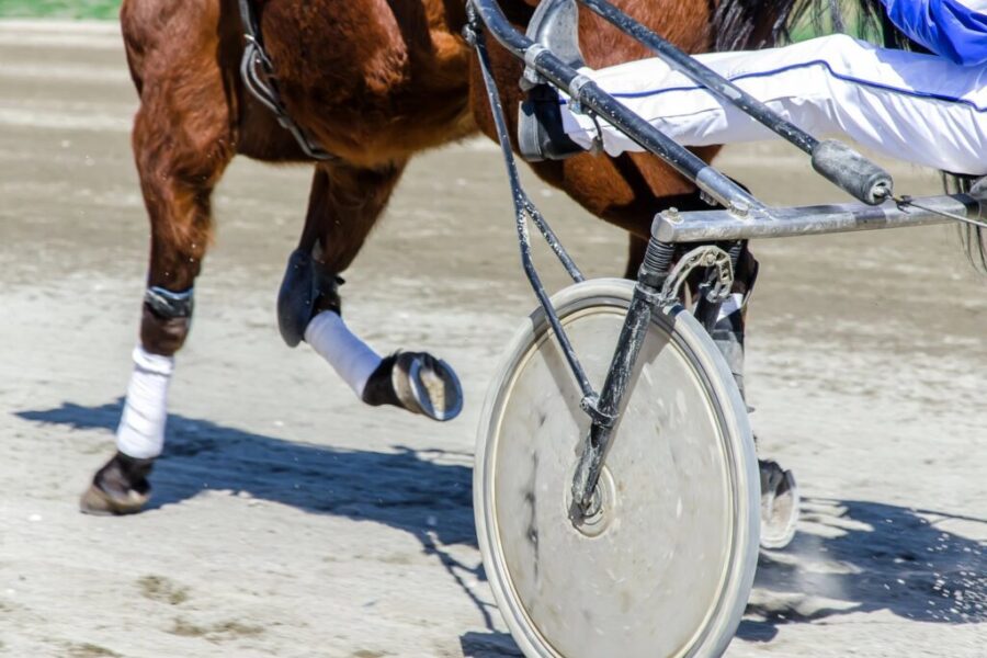 Inverness’ Redmond Doucet wins Atlantic harness racing title