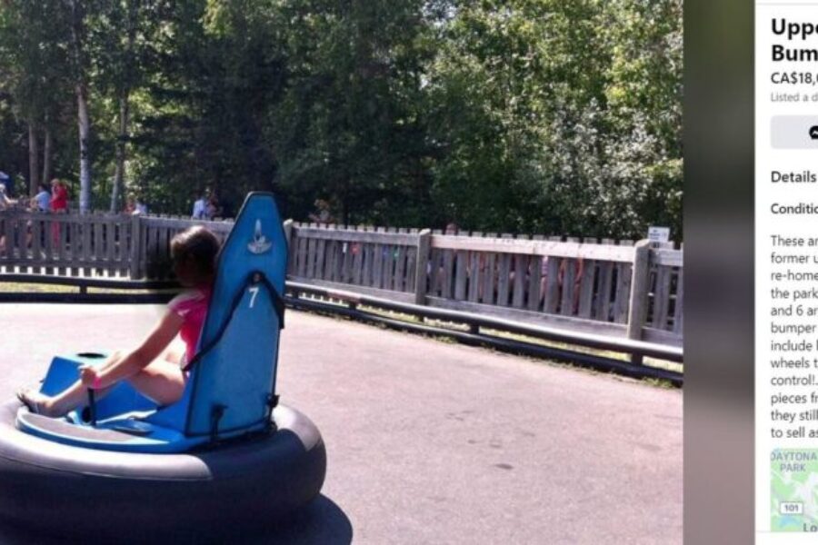 You could own a piece of Upper Clements Park! Bumper cars for sale on Facebook Marketplace