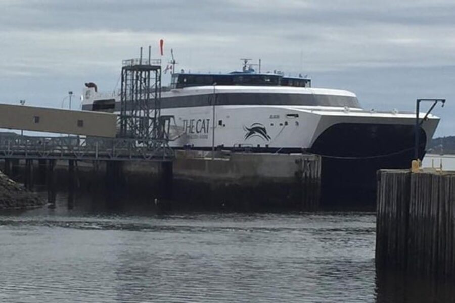 ‘CAT’ passenger bookings up ahead of 2024 season