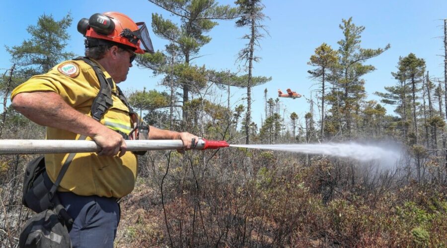 Five people each fined $25,000 under new burn ban