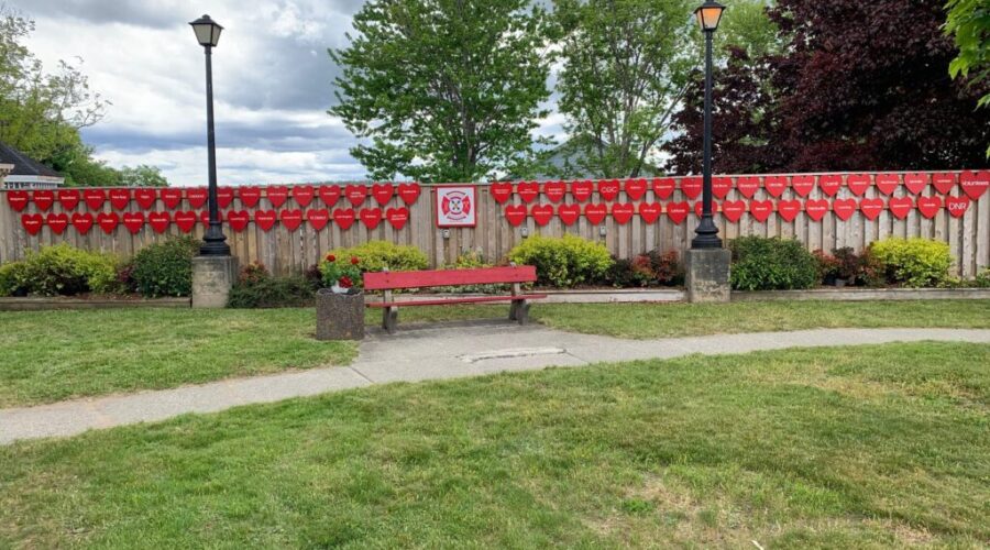 ‘Thank you is not enough.’ Firefighters honoured in Shelburne County