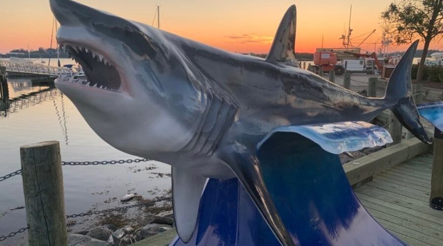 Great white shark pinged off coast of Yarmouth
