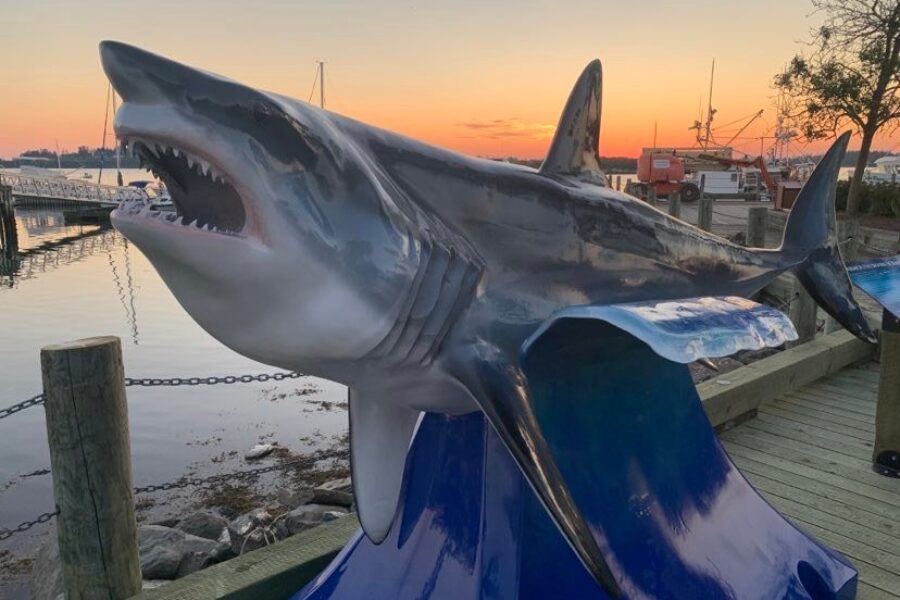 Great white shark pinged off coast of Yarmouth