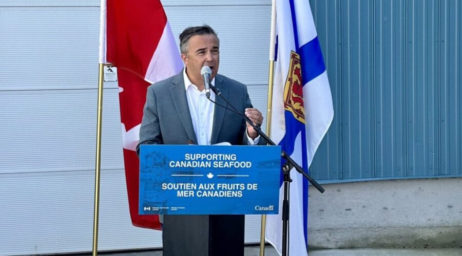 New commercial whelk fishery opens in eastern Cape Breton